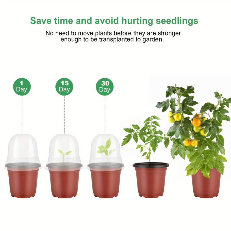 Pflanzlicher Kindergartentopf  – Baby Nursery Plants Bewertung und Preis