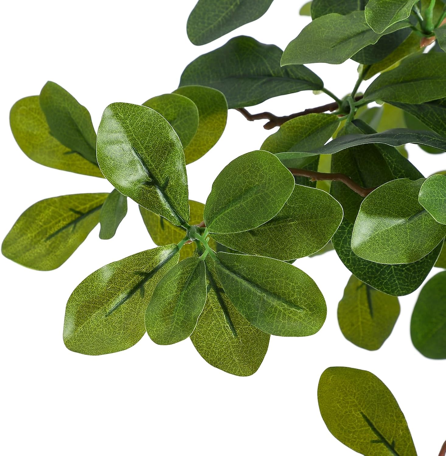 Künstliche Zimmerpflanzen, 5/6 – Baby Nursery Plants Bewertung und Preis